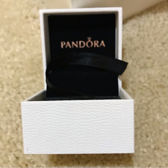 🆕🔥PANDORA(CHARM BOX ONLY) SUPER CUTE CAN BE USED FOR UP TO 10 CHARMS/AUTHENTIC - Picture 5 of 5